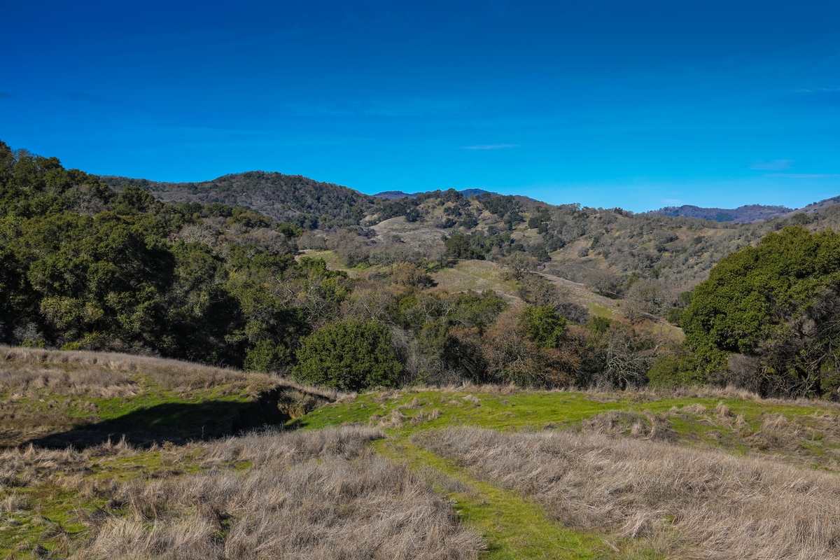 Willow Creek Ranch